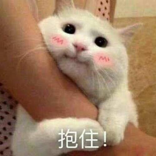 漳州泰强驾校,驾校学车,学车,泉州,晋江,小车培训,考驾照