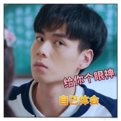 漳州泰强驾校,驾校学车,学车,泉州,晋江,小车培训,考驾照