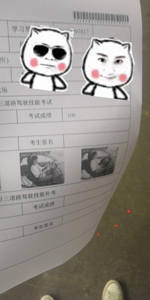 漳州泰强驾校,驾校学车,学车,泉州,晋江,小车培训,考驾照