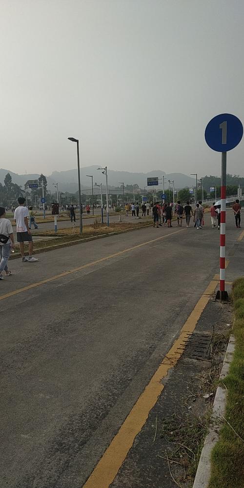 漳州泰强驾校,驾校学车,学车,泉州,晋江,小车培训,考驾照