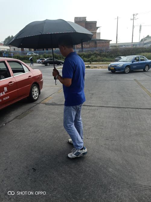 漳州泰强驾校,驾校学车,学车,泉州,晋江,小车培训,考驾照