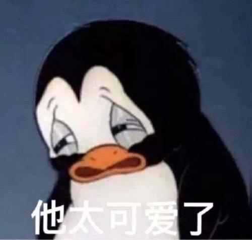 漳州泰强驾校,驾校学车,学车,泉州,晋江,小车培训,考驾照