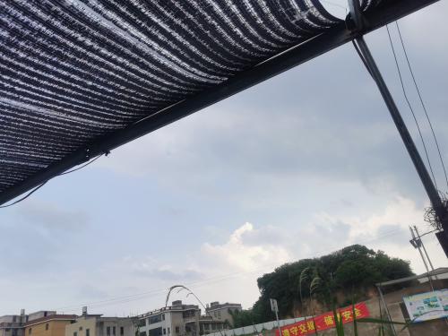 漳州泰强驾校,驾校学车,学车,泉州,晋江,小车培训,考驾照