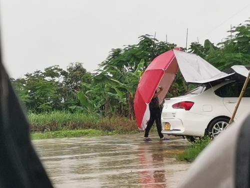 漳州泰强驾校,驾校学车,学车,泉州,晋江,小车培训,考驾照
