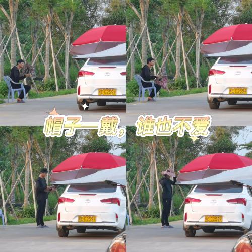 漳州泰强驾校,驾校学车,学车,泉州,晋江,小车培训,考驾照