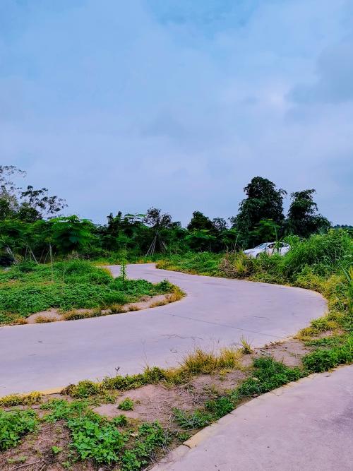 漳州泰强驾校,驾校学车,学车,泉州,晋江,小车培训,考驾照