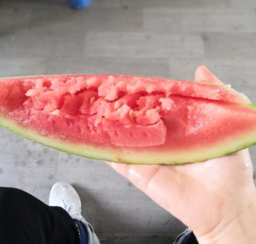 漳州泰强驾校,驾校学车,学车,泉州,晋江,小车培训,考驾照