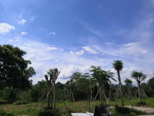 漳州泰强驾校,驾校学车,学车,泉州,晋江,小车培训,考驾照