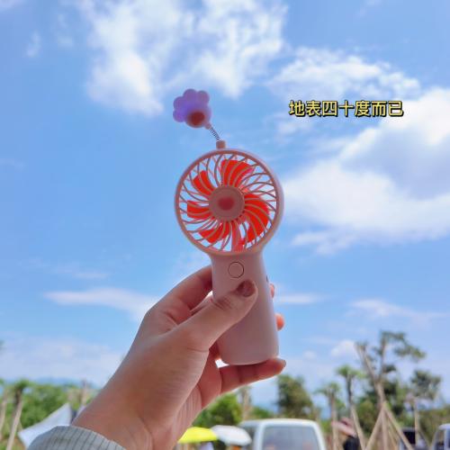 漳州泰强驾校,驾校学车,学车,泉州,晋江,小车培训,考驾照