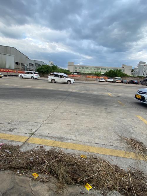 漳州泰强驾校,驾校学车,学车,泉州,晋江,小车培训,考驾照