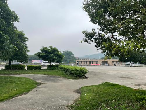 漳州泰强驾校,驾校学车,学车,泉州,晋江,小车培训,考驾照