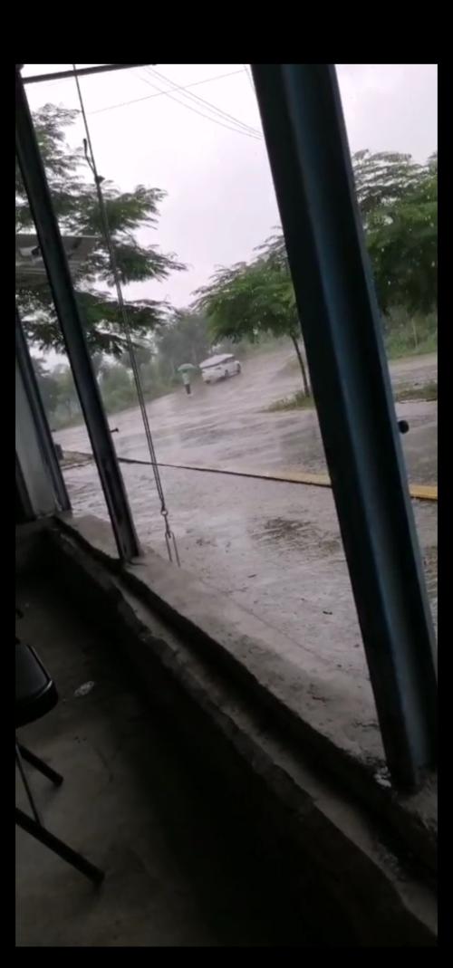 漳州泰强驾校,驾校学车,学车,泉州,晋江,小车培训,考驾照