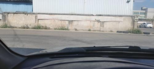 漳州泰强驾校,驾校学车,学车,泉州,晋江,小车培训,考驾照