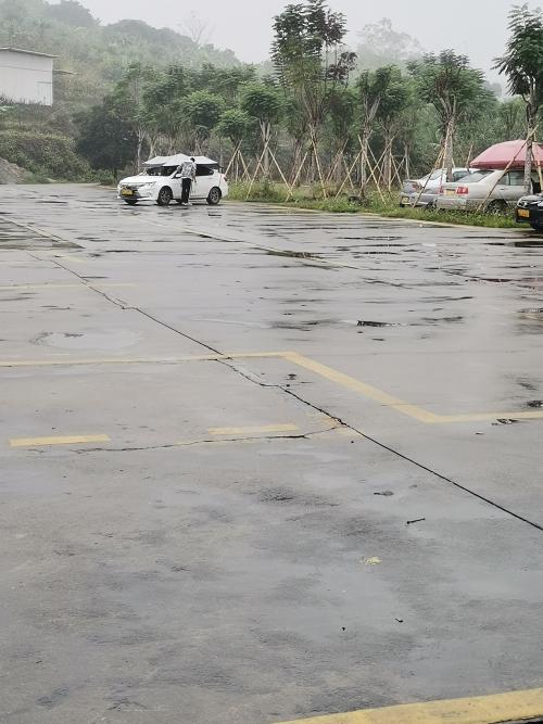 漳州泰强驾校,驾校学车,学车,泉州,晋江,小车培训,考驾照