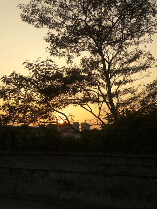 漳州泰强驾校,驾校学车,学车,泉州,晋江,小车培训,考驾照