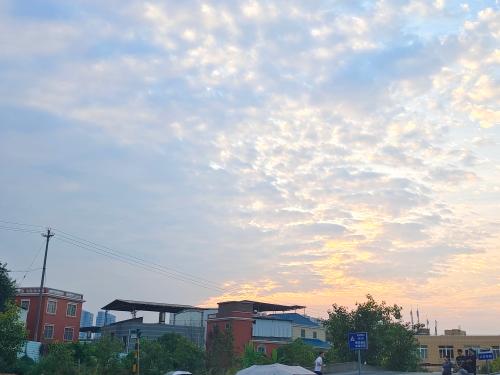 漳州泰强驾校,驾校学车,学车,泉州,晋江,小车培训,考驾照