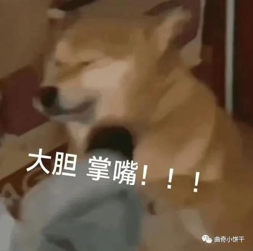 漳州泰强驾校,驾校学车,学车,泉州,晋江,小车培训,考驾照