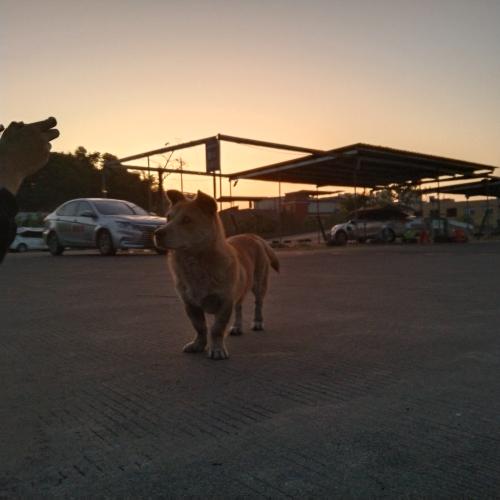 漳州泰强驾校,驾校学车,学车,泉州,晋江,小车培训,考驾照