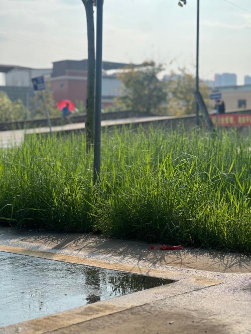 漳州泰强驾校,驾校学车,学车,泉州,晋江,小车培训,考驾照