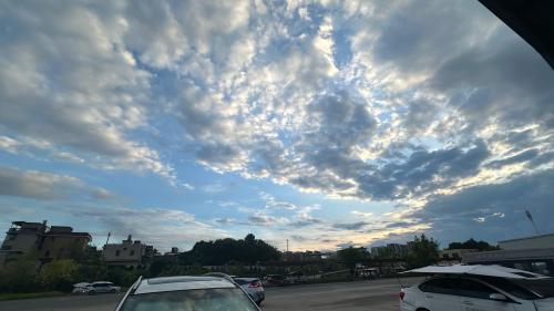 漳州泰强驾校,驾校学车,学车,泉州,晋江,小车培训,考驾照