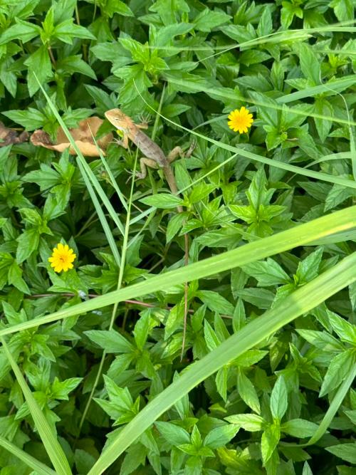 漳州泰强驾校,驾校学车,学车,泉州,晋江,小车培训,考驾照