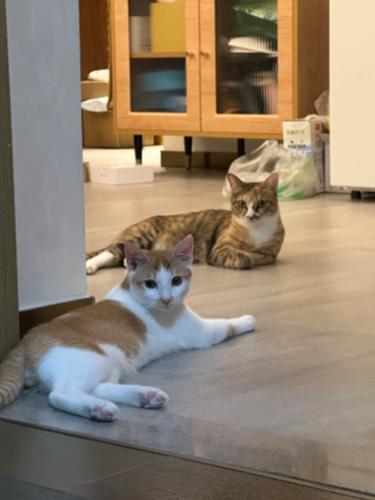 漳州泰强驾校,驾校学车,学车,泉州,晋江,小车培训,考驾照